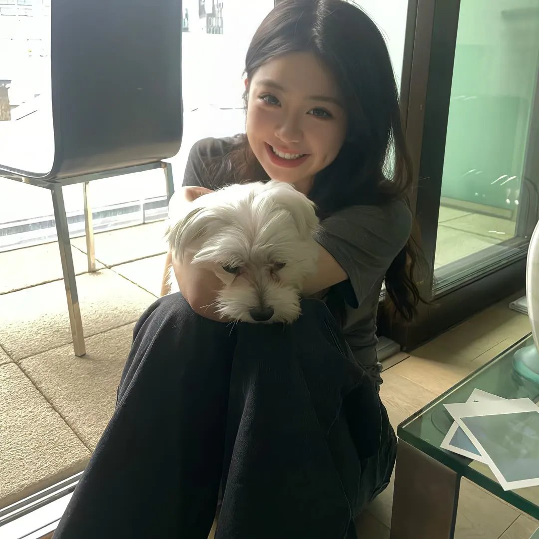 狂犬大灾难
